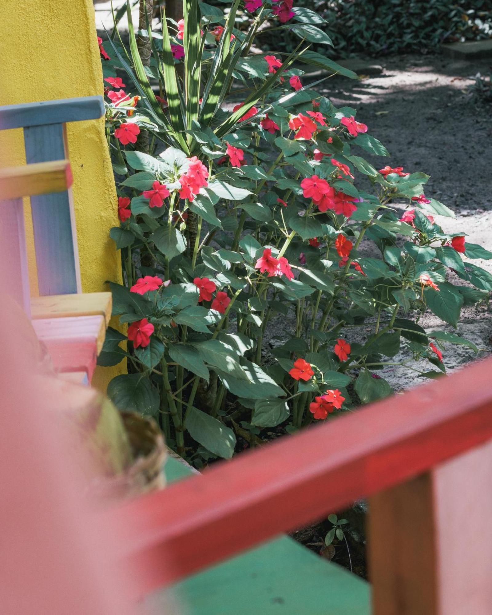 Butterfly House Bahia Hotel Marau  Exterior foto
